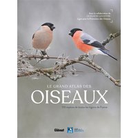 Le grand atlas des oiseaux : 150 espèces de toutes les régions de France