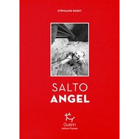 Salto Angel