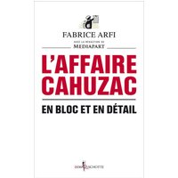 L'affaire Cahuzac : en bloc et en détail
