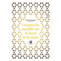 Un poussin mouillé sur le bord de la route