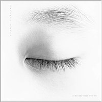 Jean-baptiste huynh. infinis d'asie fr/ang