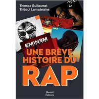Une brève histoire du rap