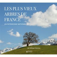 Les plus vieux arbres de France - Un patrimoine mondial. Préface d'Alain Baraton