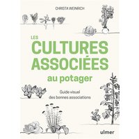 Les cultures associées au potager : guide visuel des bonnes associations