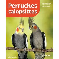 Perruches calopsittes : les connaître, les nourrir, les soigner