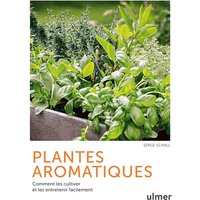 Plantes aromatiques - Comment les cultiver et les entretenir facilement