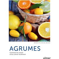 Agrumes - Comment les choisir et les cultiver facilement