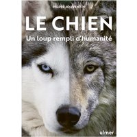 Le chien : un loup rempli d'humanité