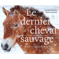 Le dernier cheval sauvage : dans les pas du Przewalski