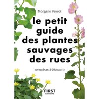 Le petit guide des plantes sauvages des rues : 70 espèces à découvrir
