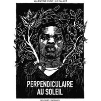 Perpendiculaire au soleil