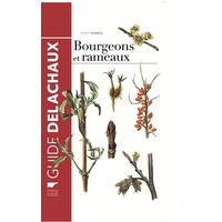 Bourgeons et rameaux