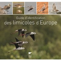 Guide d'identification des limicoles d'Europe