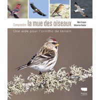 Comprendre la mue des oiseaux : une aide pour l'ornitho de terrain