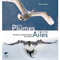 Des plumes et des ailes : pourquoi et comment volent les oiseaux