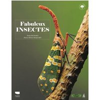 Fabuleux insectes
