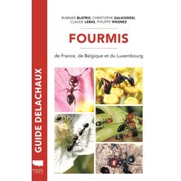 Fourmis de France - Plus de 100 espèces décrites