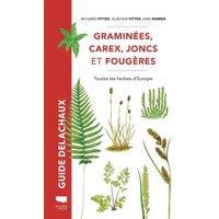 Graminées, carex, joncs et fougères : toutes les herbes d'Europe