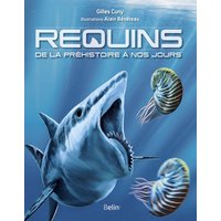Requins : de la préhistoire à nos jours