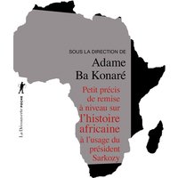 Petit précis de remise à niveau sur l'histoire africaine à l'usage du président Sarkozy