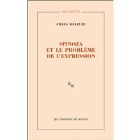 Spinoza et le problème de l'expression