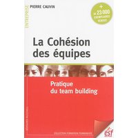 La cohésion des équipes : pratique du team building
