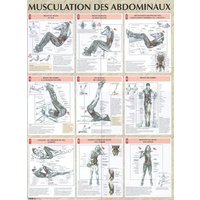 Musculation des abdominaux planche plastifiée