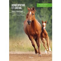 Homéopathie et cheval : conseils thérapeutiques