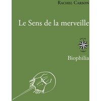 Le sens de la merveille