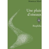 Une pluie d'oiseaux