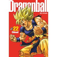 Dragon Ball : perfect edition. Vol. 22