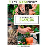 Je multiplie mes plantes. Semis, marcottage et autres techniques