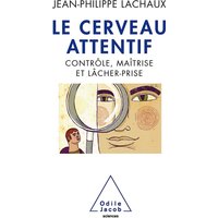 Le cerveau attentif : contrôle, maîtrise et lâcher-prise
