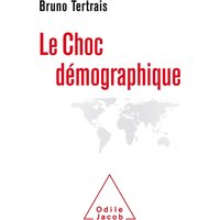 Le choc démographique