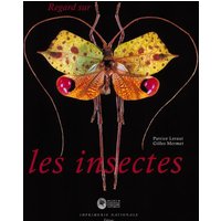 Regard sur les insectes : collections d'entomologie du Muséum national d'histoire naturelle