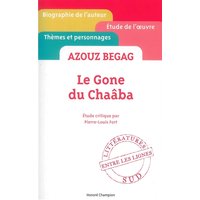 Azouz Begag, Le gone du Chaâba : étude critique