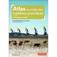 Atlas mondial des matières premières : incertitudes et défis