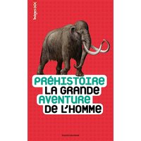 Préhistoire : la grande aventure de l'homme
