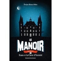 Le manoir : saison 1. Vol. 1. Liam et la carte d'éternité
