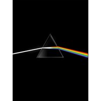 Pink Floyd their mortal remains Le livre officiel
