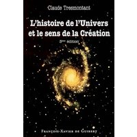 L'histoire de l'univers et le sens de la création : sept conférences