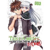 The testament of Sister new devil : storm. Vol. 3