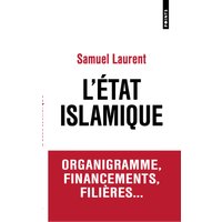L'Etat islamique : organigramme, financements, filières...