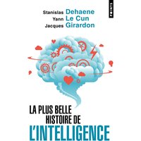 La plus belle histoire de l'intelligence : des origines aux neurones artificiels : vers une nouvelle étape de l'évolution