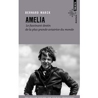 Amelia : le fascinant destin de la plus grande aviatrice du monde