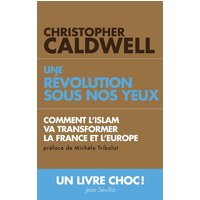 Une révolution sous nos yeux : comment l'islam va transformer la France et l'Europe