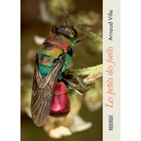 Les petits des forêts