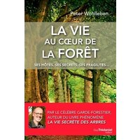 La vie au coeur de la forêt : ses hôtes, ses secrets, ses fragilités...