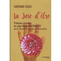 La joie d'être : pratiques avancées du yoga tibétain de Kum Nye pour la relaxation, l'intégration & la concentration