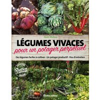Légumes vivaces pour un potager perpétuel